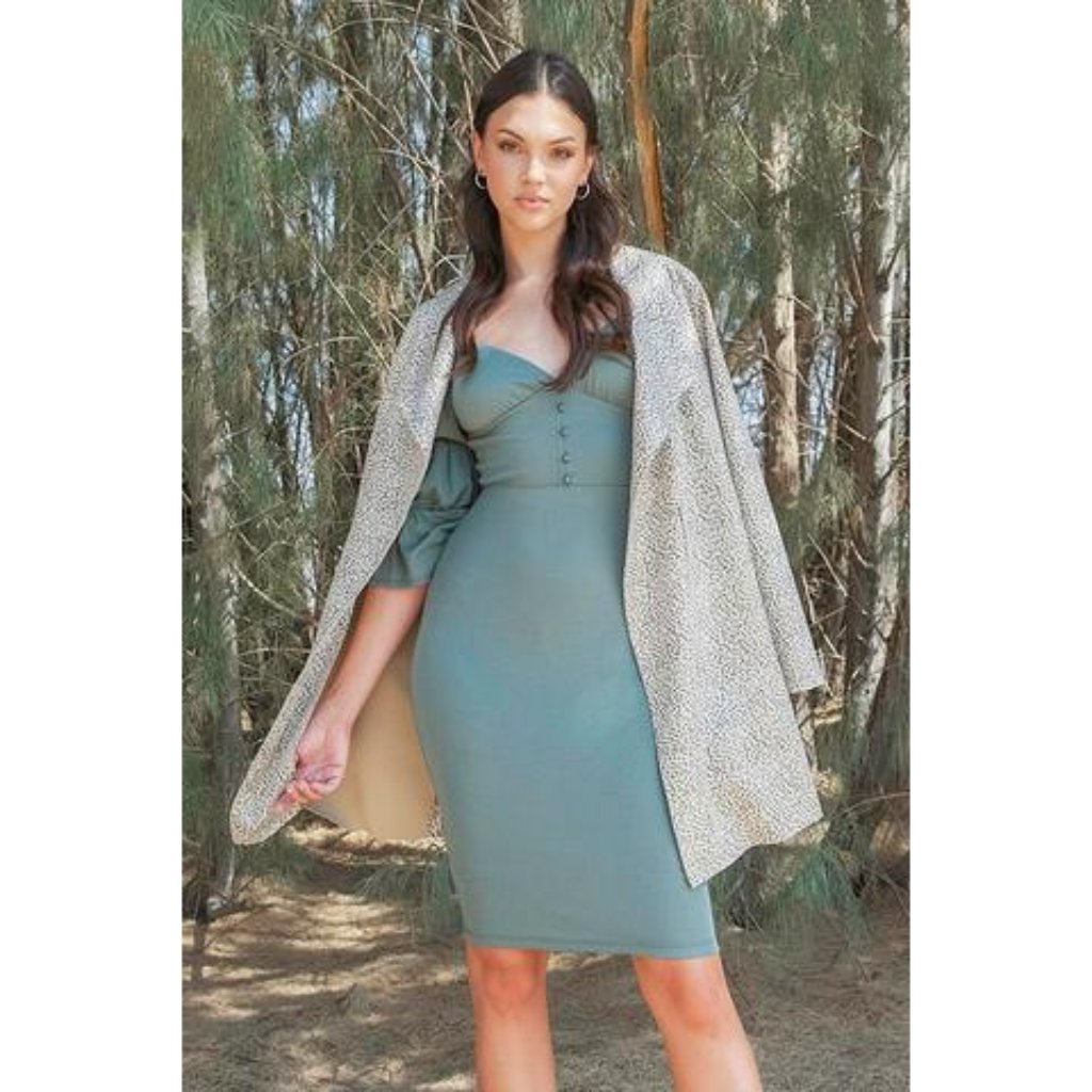 Hunter Shirred Sleeve Buttoned Front Dress